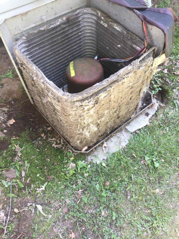 Performed comprehensive tune-up on 1988 Trane XE 900 air conditioning unit with extensive dirt accumulation. Disassembled and thoroughly cleaned condenser coils and cabinet, tested all electrical components including contactor, and measured capacitor readings—fan capacitor within specifications, compressor capacitor reading 32/35 microfarads and recommended for replacement. Confirmed 18-degree temperature split and proper system operation upon completion.