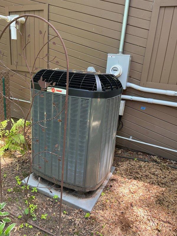 Performed routine cooling maintenance on heat pump system. Upon arrival, inspected air filter and blower assembly, both found in satisfactory condition. Identified evaporator coil drainage issue with improper pitch causing water to drain away from drain line. Discovered mouse nest in outdoor unit electrical panel with deceased rodent on run capacitor, causing hermetic compressor circuit failure. Measured capacitor at 4.5uf, significantly below 35uf specification.

Cleaned condenser coil and verified all other system components within manufacturer specifications. Repositioned evaporator coil in attic by lifting and tilting unit to improve drainage slope. Disconnected return air section and installed support pad underneath to maintain proper pitch. Replaced failed 35uf run capacitor with new component.

Conducted operational test with 15-minute runtime to verify proper system function. All parameters normal, cooling cycle operating as designed. System restored to full operational capacit