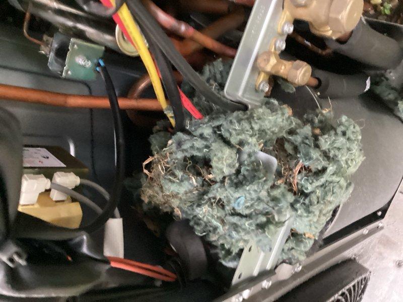 Responded to no-cool service call on heat pump system installed in December and still under warranty. Upon arrival, unit was completely non-operational with low voltage error code displayed. Performed diagnostic testing and inspection of outdoor unit components. Discovered rodent nest inside condenser housing with extensive damage to low pressure switch wiring caused by rodent activity. Temporarily repaired damaged wiring to restore immediate system operation. Ordered replacement wire harness for permanent repair and scheduled follow-up visit for parts installation upon arrival.