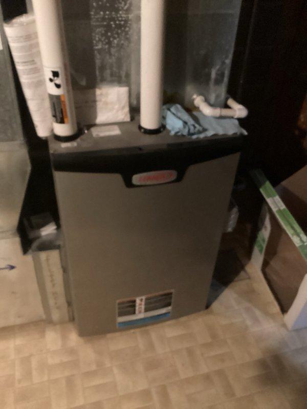 Responded to a clogged basement utility sink drain. Upon inspection, found significant accumulation of lint and debris causing complete blockage of the drain assembly. Removed the clog by extracting the matted fibrous material from the drain system, restoring proper drainage function to the utility sink.