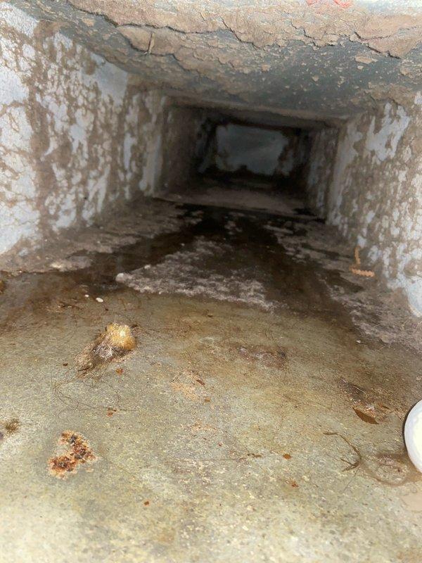 Responded to emergency no-cool call for 10+ year old system with water dripping from evaporator coil. Upon arrival, confirmed unit was shut down due to active water leak from drain pan. Inspection revealed severely deteriorated evaporator coil with extensive buildup, compromised drain pan integrity, and substantial contamination throughout the ductwork. Given the age of the system and extent of deterioration observed, determined that repair costs would exceed replacement value. Discussed options with customer and proceeded with full system replacement as the most cost-effective solution.