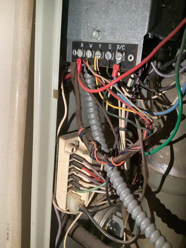 Responded to no cool call on 6-year-old Goodman air conditioning system. Upon arrival, confirmed outdoor unit was not receiving power and system was non-operational. Diagnosed failed control board on indoor furnace unit, which was preventing proper communication between thermostat and outdoor condenser. Control board showed no voltage output to contactor circuit despite proper incoming power and thermostat signal. Replaced defective integrated furnace control board and restored all low-voltage wiring connections to proper terminals. Verified thermostat communication, tested system startup sequence, and confirmed outdoor unit now engaging properly with adequate amperage draw. System cooling normally with proper temperature split across evaporator coil. Also assessed water heater for potential maintenance scheduling per customer request.