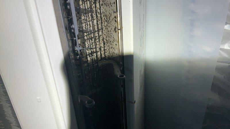 Performed deep cleaning service on ductless mini split system with heavily contaminated blower wheel assembly. Blower wheel exhibited significant mold accumulation affecting system performance. Disassembled unit, thoroughly cleaned all blower wheel components, and reassembled system to restore proper airflow and operation.