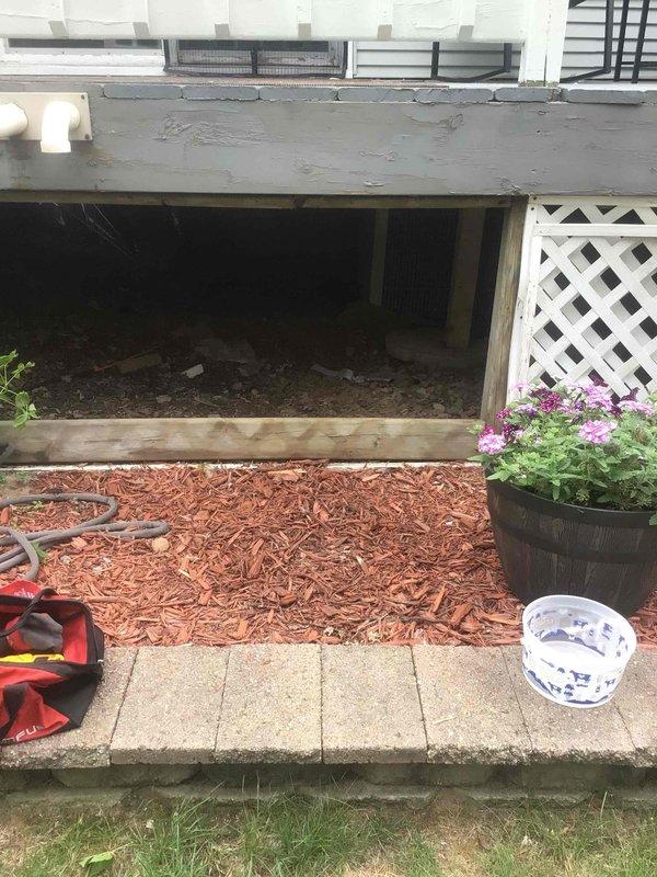 Responded to no cooling call on 1976 heat pump system. Found high pressure switch tripped, reset switch and restored unit operation. Observed compressor drawing elevated amperage, indicating potential compressor failure as root cause of high pressure condition. Advised customer of findings and scheduled follow-up consultation to discuss system replacement options given age and condition of equipment.