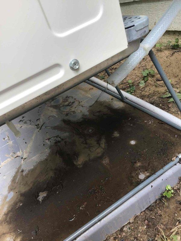 Responded to warranty call for 12-5 Mitsubishi mini split system installed two months prior with water leaking from indoor unit on east side of home. Inspected system and traced issue to improper condensate drainage at outdoor unit. Found condensate line had improper pitch with upward curve causing water backup. Cut back approximately one foot of exterior condensate line to establish proper downward slope for gravity drainage. System drained accumulated water for approximately one minute and indoor unit leak resolved. Verified proper drainage operation and system returned to normal function.