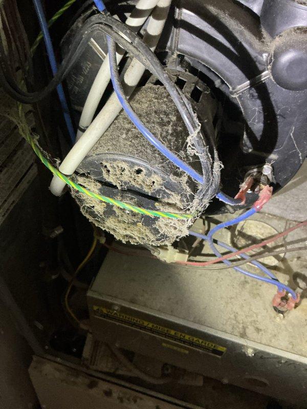 Completed AC maintenance on a 20-year-old R-22 system in a manufactured home. Found significant dirt and debris accumulation throughout the air handler, blower motor leaking oil, and measured a 15-degree temperature split across the evaporator coil. High-side service port was inaccessible due to burial in sand, preventing complete refrigerant pressure diagnostics. Provided guidance on proper filter installation and sizing for the return air grille, as the unit had been operating without filtration since purchase. Recommended blower motor replacement due to oil leakage and comfort advisor consultation for system evaluation given the age of equipment and R-22 refrigerant phase-out considerations.