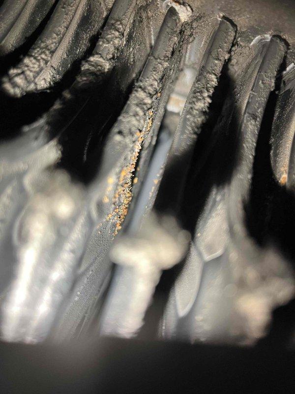 Responded to service call for furnace inspection following home inspector's report of non-operational unit. Upon arrival, found furnace repeatedly tripping high limit switch. Performed comprehensive system diagnostics including airflow verification and gas pressure testing, both within manufacturer specifications. Conducted thorough heat exchanger inspection and identified failed secondary heat exchanger with significant corrosion and debris accumulation. Secondary heat exchanger failure causing inadequate heat extraction, resulting in excessive temperature buildup and high limit safety trips. Explained to property owner that blocked secondary heat exchanger preventing proper heat transfer and creating overheating condition. Given unit age of over 20 years and extent of heat exchanger deterioration, replacement recommended over repair. Tagged furnace out of service due to failed heat exchanger safety concern. Confirmed air conditioning system remains operational and isolated from heati