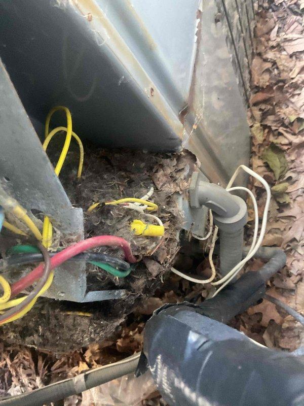 Responded to no-cool call on 15-year-old central air conditioning system where thermostat indicated cooling mode but outdoor unit remained inactive. Upon inspection, discovered rodent intrusion had compromised capacitor and contactor assembly, with visible damage to electrical connections and debris accumulation inside unit housing. Cleaned affected components, assessed electrical connections at outdoor unit and verified proper power supply at main breaker panel. Discussed repair versus replacement options with customer given system age and potential for additional component failures due to rodent damage and normal wear on aging equipment.