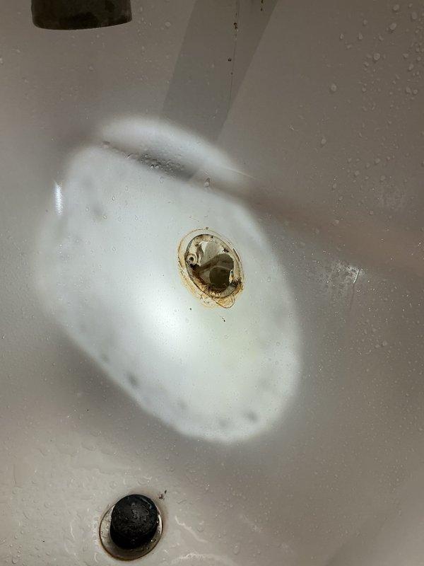 Responded to a water leak originating from a second-floor bathtub that was causing water intrusion into the first-floor ceiling. Upon investigation, identified the source as a faulty overflow plate gasket on the bathtub. Created an access opening in the affected first-floor ceiling drywall to confirm the leak location and assess moisture damage to the underlying structure. Disassembled the bathtub overflow assembly, replaced the deteriorated gasket with a new one, and reassembled all components to manufacturer specifications. Advised monitoring the repair area for any additional signs of moisture intrusion.