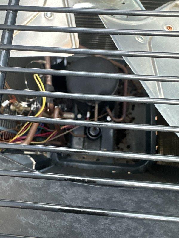Responded to no cooling condition on 5-year-old heat pump system. Upon inspection, discovered rodent damage to compressor wiring causing high amperage draw and system failure. Repaired damaged wiring where possible and restored cooling operation. Performed routine maintenance including condenser coil cleaning, condensate drain clearing, and provided replacement air filter. Identified crankcase heater wiring damaged beyond repair due to rodent activity at connection point near heater element, requiring full crankcase heater replacement. System tested and operational with cooling restored, pending crankcase heater replacement recommendation.