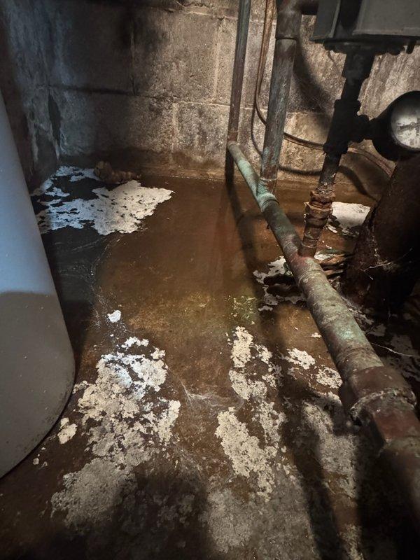 Responded to emergency service call for furnace system leaking water extensively throughout basement area. Upon inspection, discovered evaporator coil was improperly positioned by installation crew, causing condensate drainage failure and significant water accumulation on concrete floor with visible staining and moisture damage. Documented conditions with photographs showing water pooling, floor discoloration, and affected areas around HVAC ductwork and utility infrastructure. Identified that installation team needs to return to properly reposition evaporator coil and correct drainage issues to prevent further water damage to vacant property.