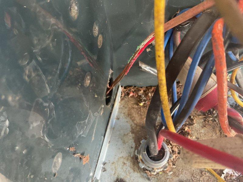 Responded to no cooling call on a 2-year-old Trane system that was not turning on. Upon arrival, discovered rodent damage to low-voltage wiring inside the outdoor condenser unit. Mice had chewed through control wires, causing a short circuit that prevented system operation. Repaired damaged wiring, restored electrical connections, and sealed entry point with silicone to prevent future rodent intrusion. System tested and returned to normal operation.