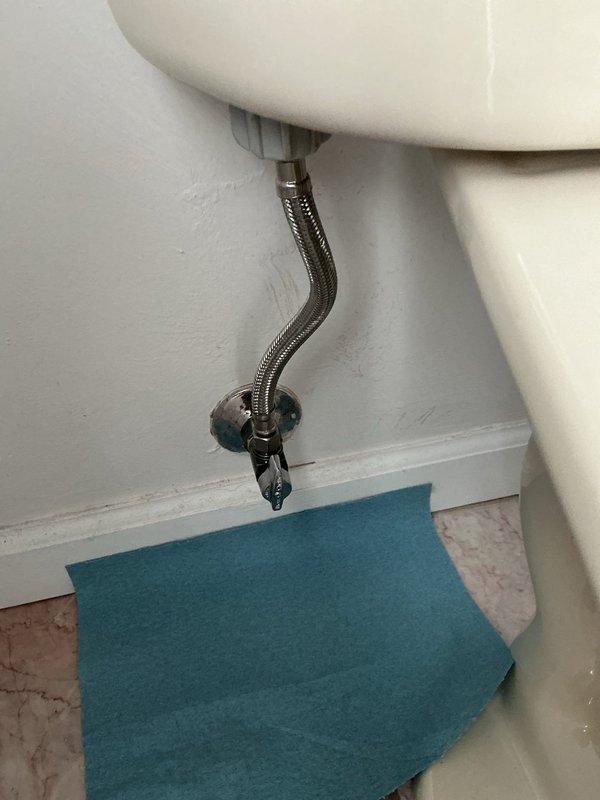 Responded to a service call for a malfunctioning toilet shut-off valve that would not properly turn off the water supply. Upon diagnostic inspection, determined that the full port shut-off valve's internal gaskets had deteriorated and disintegrated, preventing proper valve operation. Removed the failed chrome-plated shut-off valve from the wall-mounted water supply line and installed a new replacement valve with mushroom-shaped handle. Connected the braided stainless steel flexible supply line from the toilet tank to the new shut-off valve and verified complete functionality and proper water shut-off capability. Tested the installation to ensure leak-free operation and confirmed the valve now operates correctly to control water flow to the fixture.