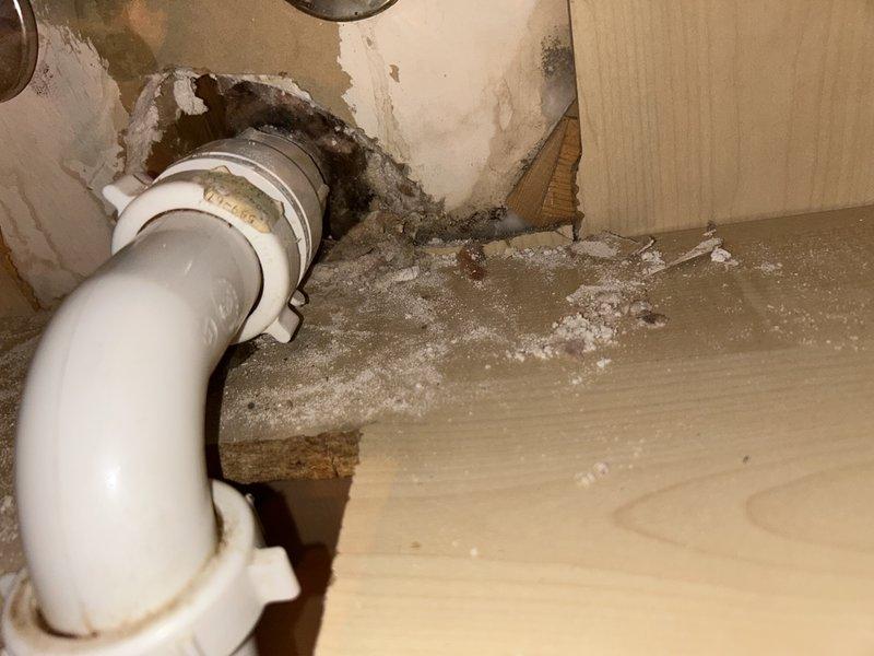 Responded to bathroom sink leak causing water infiltration into parking garage below the unit. Upon investigation, accessed the vanity cabinet and identified a failed mission band coupling behind the wall connecting to the sink drain assembly. Extensive water damage was evident, including deteriorated drywall, mold growth, and debris accumulation within the cabinet interior. Removed damaged section of wall to expose the defective mission band fitting, which showed signs of corrosion and failure at the connection point. Replaced the compromised mission band and associated piping with new components to restore proper drainage function and eliminate the leak source. Documented the extent of water damage and mold contamination present in the wall cavity and surrounding materials for further remediation consideration.