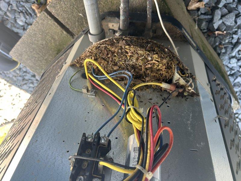 Responded to no cool call on 4-year-old air conditioning system. Upon arrival, confirmed system was operational but not maintaining desired temperature. Observed liquid line temperature was excessively hot to touch, indicating potential airflow restriction or refrigerant issue. Indoor air filter was clean.

Inspected outdoor condensing unit and discovered heavy debris accumulation including bird nesting material completely obstructing the condenser coil and fan assembly. Removed all debris and thoroughly cleaned condenser coil to restore proper airflow. Electrical connections showed no signs of damage despite wildlife intrusion.

After cleaning, allowed system to run and stabilize before taking refrigerant measurements. Recorded 40 degrees superheat and 0 degrees subcool, indicating system was significantly undercharged. Ambient temperature was 95 degrees with unit producing only 7-degree temperature split across evaporator coil.

Performed capacitor testing on dual run capacitor rated