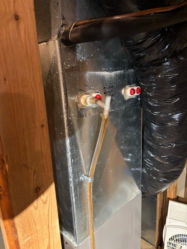 Responded to no-cool complaint on 2-ton Goodman split system (Model TCGD24S41S3A) that had not satisfied cooling setpoint for over four hours per Ecobee alert. Found outdoor condenser unit heavily obstructed by overgrown vegetation and debris accumulation restricting airflow, and indoor 16x25x1 filter severely loaded from extended use. Cleared vegetation from around unit, cleaned condenser coil, and replaced filter with homeowner-supplied MERV 10 media. System startup confirmed normal operation with approximately 19°F temperature split across evaporator coil, restoring adequate cooling capacity to residence.