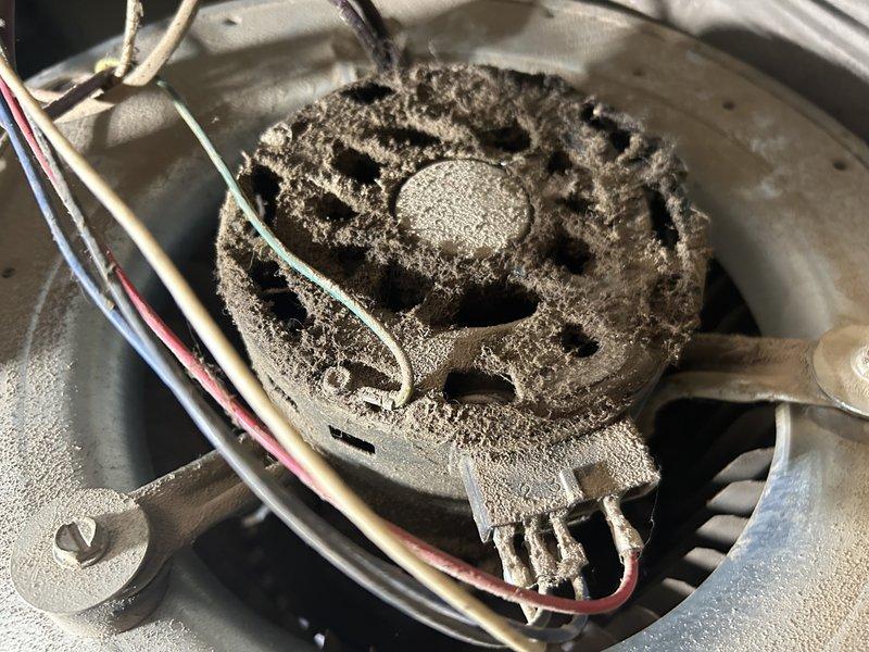 Responded to service call for noisy furnace on 20+ year old unit. Upon inspection, found blower motor and fan assembly heavily coated with dust, debris, and grease buildup due to severely clogged air filter that had not been changed in approximately one year. Replaced dirty air filter with new filter and tested blower motor capacitor, which measured 6.8 MFD out of rated 10 MFD capacity. Blower motor exhibited excessive noise due to accumulated contamination on motor housing and fan wheel. Provided equipment replacement options and pricing for new blower motor and capacitor. Customer approved blower motor replacement to resolve noise issue and restore proper airflow. Supplied additional replacement filter for future maintenance.