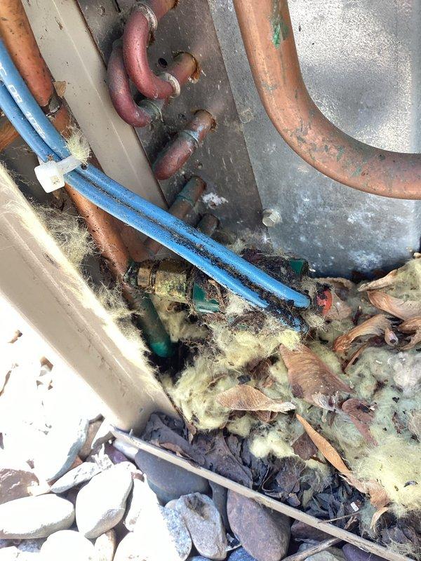 Responded to no cooling complaint on residential air conditioning system. Upon arrival, found unit shut down on high pressure safety. Diagnosed failed run capacitor and replaced with new component. During testing, observed oil residue on pressure switch indicating potential refrigerant leak. System pressure check confirmed unit was low on refrigerant charge. Provided estimate to customer for refrigerant recharge and system restoration.