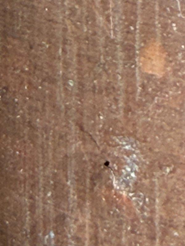 Responded to a leak at the pressure tank assembly caused by a pinhole leak on the elbow joint connected to the tank. Upon inspection, identified the compromised copper bend and deteriorated tank tee fitting as the source of the water loss. Replaced the defective tank tee with a new brass fitting and repaired the affected section of copper piping using proper soldering techniques. Tested the pressure tank system for leaks and verified proper operation of all valves and connections. System restored to full functionality with no active leaks detected.