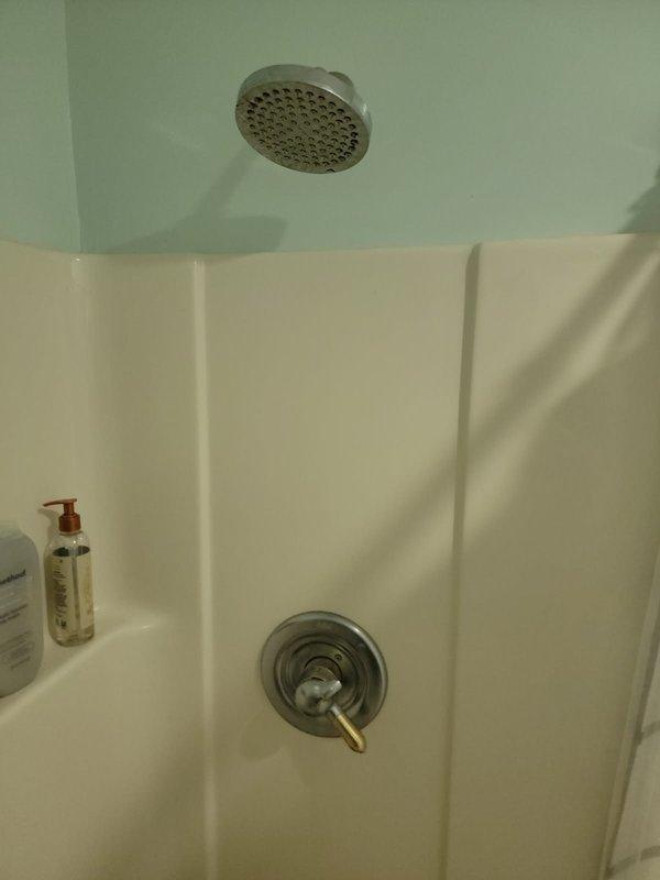 Inspected shower fixtures for reported dripping showerhead and worn on/off selectors. Evaluated existing chrome trim kits and valve cartridges in dual-control shower system, noting deterioration of control mechanisms. Provided estimate for replacement of trim kits and cartridges for both shower controls to resolve leaking and restore proper operation.