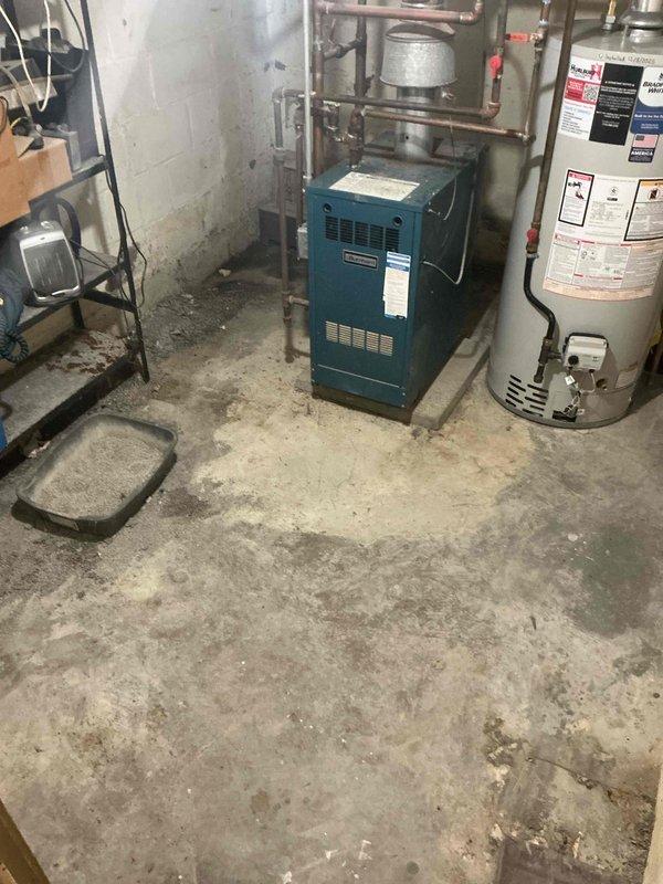 Responded to service call for Bradford White tanked water heater with pilot light failure and no hot water production. Upon arrival, found unit displaying same error code as previous service visit, indicating pilot would not remain lit. Successfully re-lit pilot light and restored hot water operation. Advised homeowner that pet litter boxes in immediate vicinity of water heater may be contributing to air quality issues affecting combustion and pilot light stability, and recommended relocating litter boxes away from appliance to prevent future occurrences.