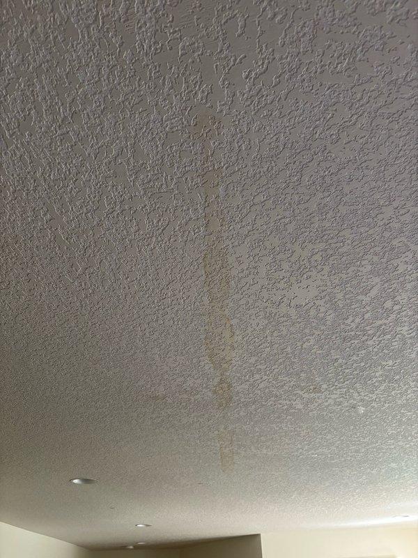 Conducted follow-up inspection for reported water leak concerns with visible ceiling stains. Thoroughly examined kitchen sink area including drain lines, water supply lines, and all connections for active leaks or moisture presence. All inspected areas were dry with no signs of recent water exposure. Verified water meter showed no movement indicating no active water consumption or hidden leaks in the system. Physically assessed ceiling stains and surrounding areas, confirming all surfaces were completely dry. Determined that visible ceiling damage, including cracking and floor board curling, resulted from residual effects of previous water intrusion that has since resolved and is in the drying phase. No active leak detected. Sink and plumbing system left in full operational service.