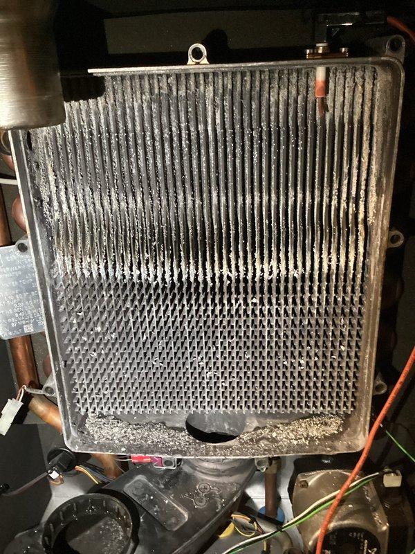 Completed annual boiler maintenance visit on a 3-year-old unit. Thoroughly cleaned heat exchanger which showed significant dust and dirt accumulation on vertical fins and honeycomb mesh structure. Inspected and verified proper system drainage, confirmed ignitor and sensor are in good operating condition, and verified gas valve assembly and control wiring connections are secure and functioning correctly.