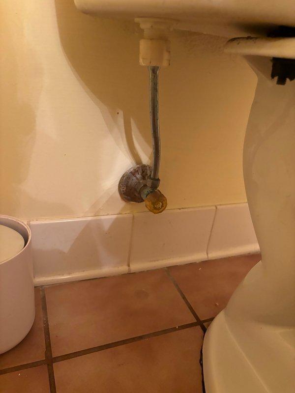 Conducted on-site assessment for residential plumbing fixture replacement. Evaluated three existing toilets throughout the property for replacement needs, examining tank assemblies, supply lines, shut-off valves, and mounting conditions. Inspected bathroom installations including water supply connections, floor mounting stability, and fixture conditions. Additionally assessed kitchen sink faucet for replacement requirements. Documented existing fixture conditions through photographic records showing current plumbing connections, supply line configurations, and bathroom layouts. Provided comprehensive estimates for replacement of all three toilets and installation of new kitchen faucet, including labor and fixture specifications appropriate for the residential applications.