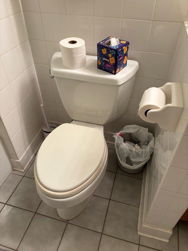 Conducted on-site assessment for residential plumbing fixture replacement. Evaluated three existing toilets throughout the property for replacement needs, examining tank assemblies, supply lines, shut-off valves, and mounting conditions. Inspected bathroom installations including water supply connections, floor mounting stability, and fixture conditions. Additionally assessed kitchen sink faucet for replacement requirements. Documented existing fixture conditions through photographic records showing current plumbing connections, supply line configurations, and bathroom layouts. Provided comprehensive estimates for replacement of all three toilets and installation of new kitchen faucet, including labor and fixture specifications appropriate for the residential applications.