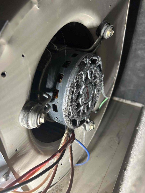Responded to no cooling complaint on Amana system with reported intermittent banging noise at furnace. Performed comprehensive inspection of blower assembly including blower wheel, motor bearings, and capacitor. All components tested within normal operating parameters. Monitored system operation for twenty minutes with no abnormal sounds detected. Verified adequate cooling performance with 15-16 degree temperature split across evaporator coil. Blower wheel showed dust accumulation but remained functional. Advised homeowner to continue monitoring system operation and report if intermittent noise returns. Provided pricing information for blower motor replacement as preventive measure given age of unit.