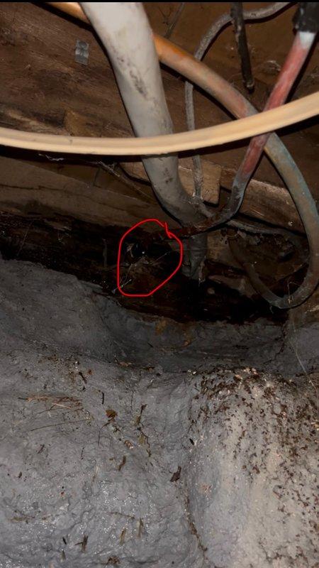 Responded to water leak in basement originating from hose bib fitting connected to main bathroom plumbing. Upon inspection, identified failed hose bib and compromised pipe section in basement ceiling area near mechanical room. Removed defective hose bib and damaged pipe section. Installed new hose bib with proper fittings and replaced affected copper piping to ensure secure, leak-free connections. Tested system under full pressure to verify repair integrity and confirmed no further water intrusion. Documented conditions with photos showing basement infrastructure, water heater area, and repair location for service records.
