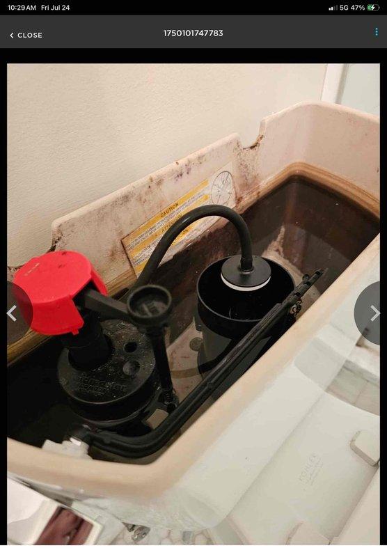 Responded to recurring toilet flushing issue where customer had to manually operate flush valve inside tank. Upon inspection, determined that previous handle replacement was incompatible with existing flush valve mechanism, preventing proper actuation. Removed incorrect handle assembly and installed manufacturer-specified replacement handle compatible with the flush valve system. Tested flush operation multiple times to verify proper function and full tank drainage. Toilet now operates normally without requiring manual intervention.
