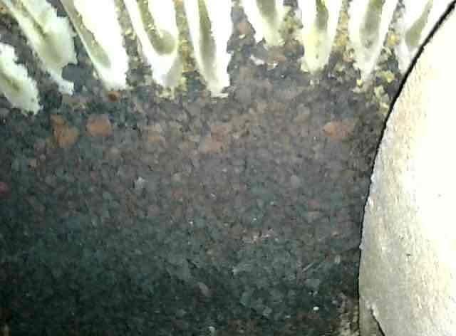 Responded to no-heat call on Burnham boiler maintaining only 75-80 degrees water temperature. Found unknown fault code in system history indicating ignition failure. Upon inspection, discovered flame sensor was corroded and structurally compromised with loose rod assembly, and igniter showed heavy corrosion. Camera inspection of heat exchanger revealed significant rust buildup throughout, consistent with lack of maintenance over 16-year service life. Reset system to restore temporary operation. Provided estimate for flame sensor replacement, igniter replacement, and comprehensive boiler cleaning service. Parts ordered for follow-up appointment to complete repairs and perform full system tune-up. Unit currently operational but requires scheduled maintenance to ensure reliable long-term performance.