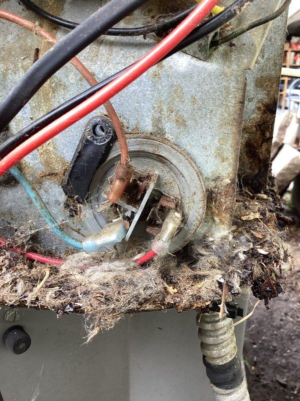 Responded to no cooling call on 2014 residential split system air conditioner. Found compressor operating but condenser fan motor not running. Upon inspection, discovered rodent damage to fan motor wiring. Repaired chewed wire connections and restored proper operation. Due to unit age (10+ years) and overall condition showing weathering and corrosion, provided equipment replacement quote for customer consideration.