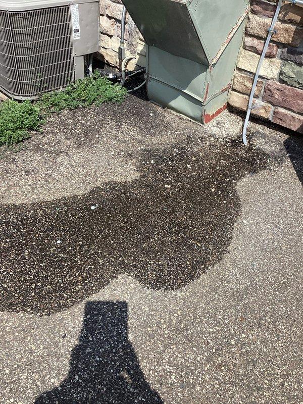 Responded to callback for recently installed mini split systems reported not cooling properly with no condensate drainage from two south-side units. Upon arrival, all mini split units were operating normally with proper cooling and condensate flow observed. Inspected rooftop and exterior equipment, verified refrigerant pressures, airflow, and drainage systems on all units. No defects or malfunctions identified during diagnostic evaluation. Determined issue was likely due to user error or temporary condition that self-resolved prior to service visit.