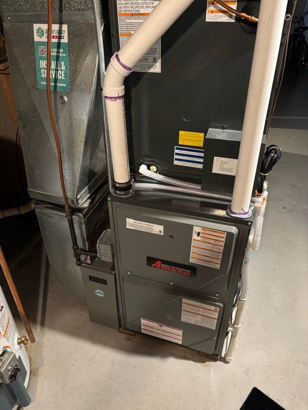 Responded to no hot water condition with pilot light failing to stay lit on tanked water heater. After multiple unsuccessful relight attempts, removed burner assembly and replaced faulty thermocouple. Reinstalled burner, successfully relit pilot light, and restored gas valve operation. Verified proper heating cycle operation through multiple on/off tests and left unit in full working service.