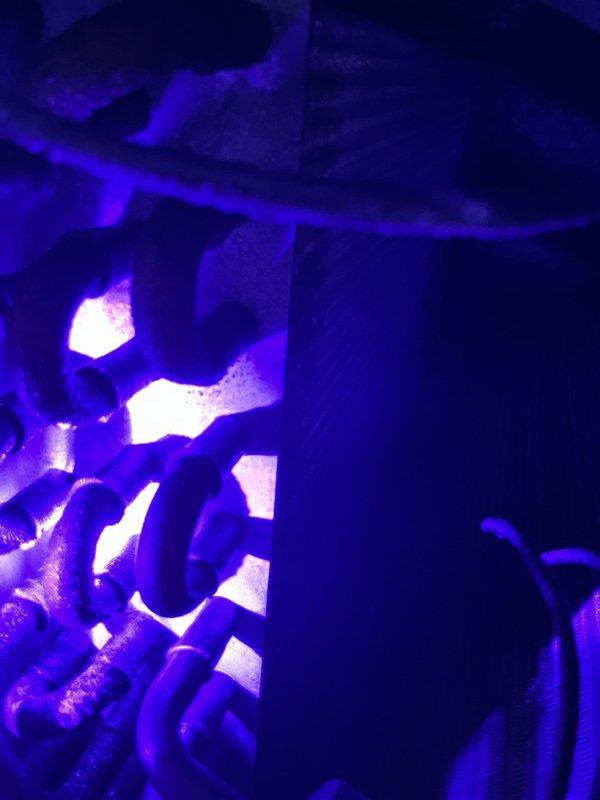 Performed refrigerant leak search on HVAC system using UV detection equipment. Identified leak source at schrader core valve on the evaporator coil assembly. Replaced defective schrader core to restore system integrity and prevent further refrigerant loss.