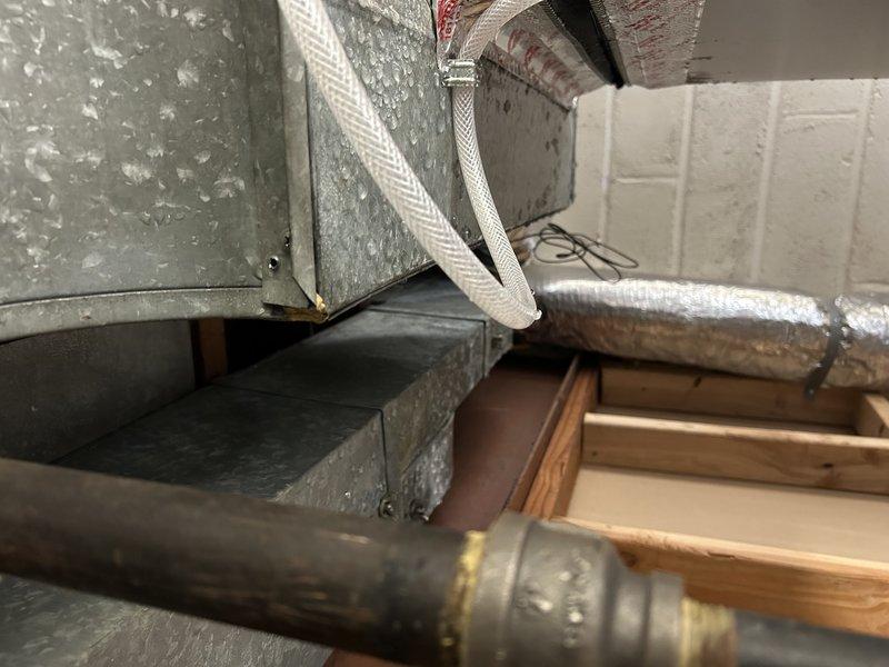 Responded to warranty callback for recently installed HVAC system to address excessive outdoor unit noise, inadequate dehumidification with indoor humidity levels consistently reading 61-72%, and water leakage from basement ductwork with accompanying mold odor. Inspected condenser unit operation and sound levels, evaluated airflow and refrigerant charge, examined ductwork for condensation issues and proper insulation, and assessed drain line functionality. Provided system operation training to homeowner on thermostat controls and dehumidification settings.