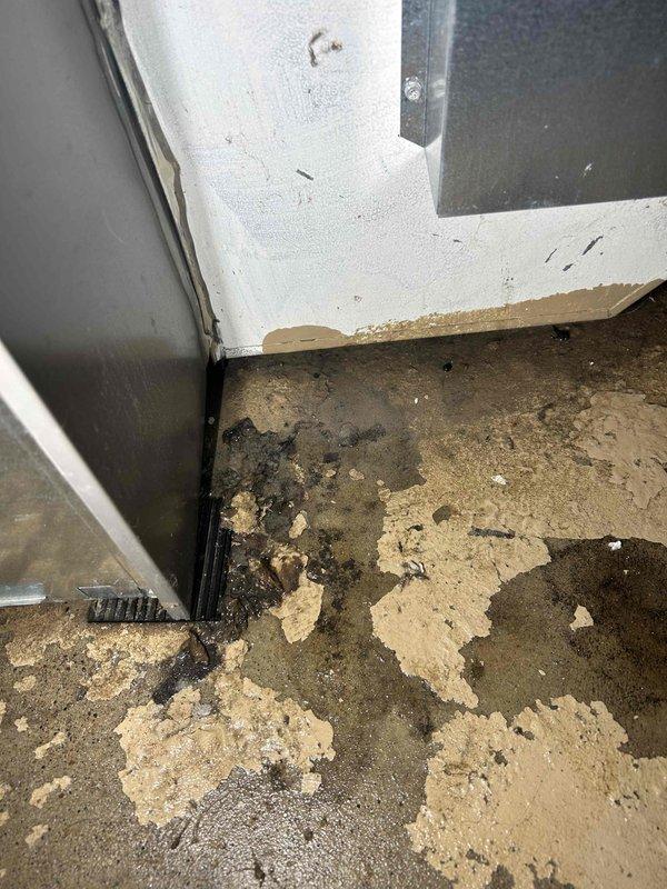 Responded to water leak complaint on 7-year-old furnace. Found condensate drain line and pan completely filled with sludge buildup, restricting proper drainage. Discovered collector box plug had been leaking, causing rust spots on surrounding components. Vacuumed out accumulated sludge and debris from condensate system, removing foreign material including a dead bat from the pan. Flushed drain system with approximately 10 bottles of water to verify proper flow and pump operation. Resealed collector box plug to prevent future leakage. Cleaned condensate pan and drain line thoroughly. System tested and draining properly upon completion.