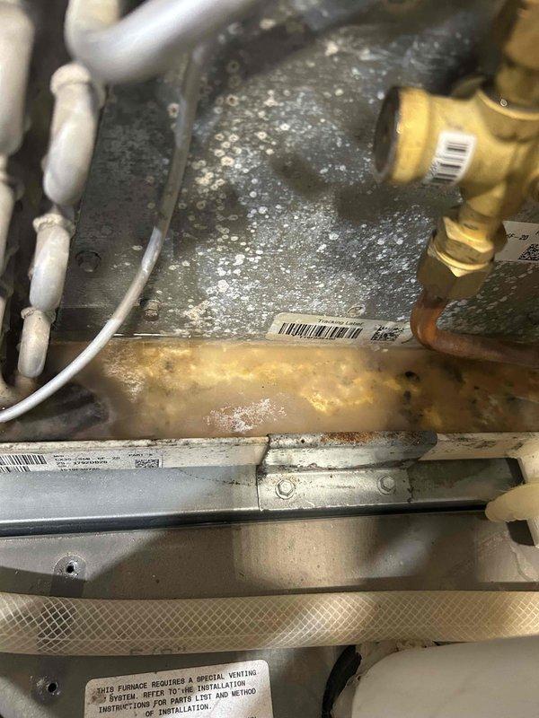 Responded to water leak complaint on 7-year-old furnace. Found condensate drain line and pan completely filled with sludge buildup, restricting proper drainage. Discovered collector box plug had been leaking, causing rust spots on surrounding components. Vacuumed out accumulated sludge and debris from condensate system, removing foreign material including a dead bat from the pan. Flushed drain system with approximately 10 bottles of water to verify proper flow and pump operation. Resealed collector box plug to prevent future leakage. Cleaned condensate pan and drain line thoroughly. System tested and draining properly upon completion.