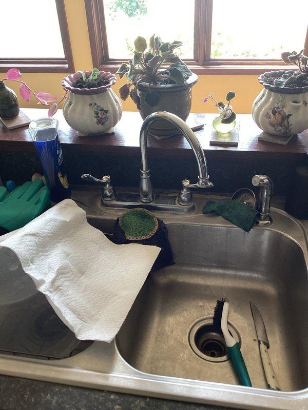 Completed comprehensive plumbing inspection of residential property including examination of bathroom fixtures and kitchen plumbing systems. Inspected toilet operation, mounting hardware, and bowl condition; verified proper function and water levels. Evaluated kitchen sink double-basin assembly, chrome faucet with spray attachment, supply lines, and drain connections for leaks or operational concerns. All fixtures photographed and documented as part of recurring maintenance service, with electrical inspection also scheduled for this visit.