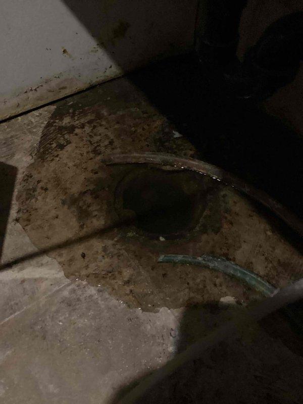 Responded to emergency water intrusion call with standing water discovered in basement laundry room area. Upon inspection, identified floor drain backup as source of flooding, with significant water accumulation on concrete floor and evidence of biological growth indicating ongoing moisture issues. Coordinated with restoration company for immediate water mitigation and scheduled drain technician for line clearing and repair to resolve the blockage causing the backup.