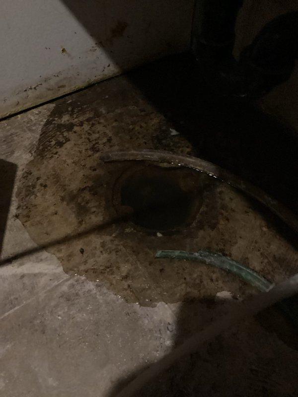 Responded to emergency water intrusion call with standing water discovered in basement laundry room area. Upon inspection, identified floor drain backup as source of flooding, with significant water accumulation on concrete floor and evidence of biological growth indicating ongoing moisture issues. Coordinated with restoration company for immediate water mitigation and scheduled drain technician for line clearing and repair to resolve the blockage causing the backup.