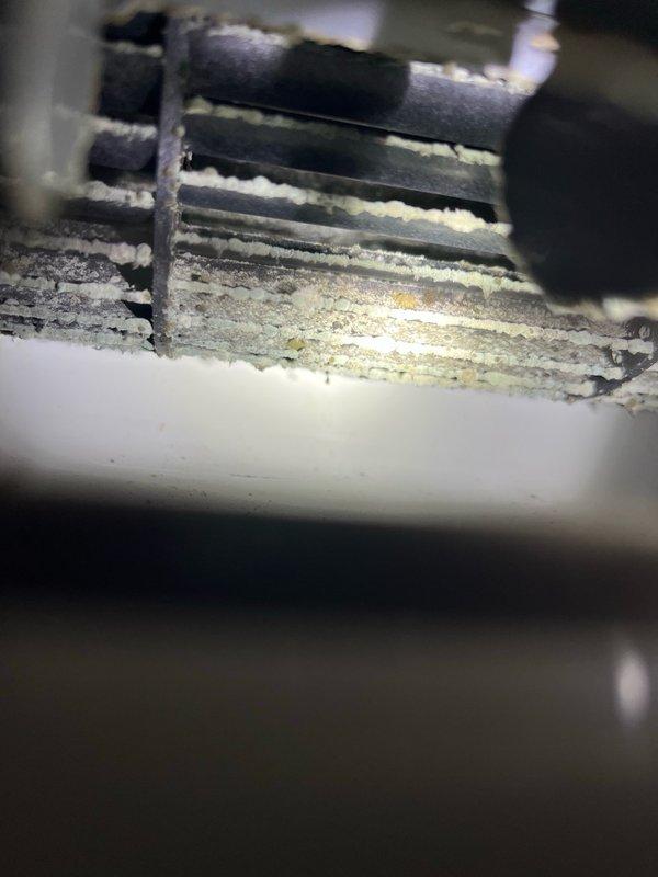 Responded to service call for 5-year-old Mitsubishi single-head mini-split system not maintaining temperature during hot weather. Upon arrival, performed comprehensive inspection of both indoor and outdoor units. Outdoor unit inspected and cleaned, with all routine components found to be functioning properly. Indoor head unit inspection revealed significant dirt accumulation on internal components, including debris beginning to collect on blower wheel, despite customer having recently cleaned filters. Verified condensate drain line was clear and flowing properly. System found to be operational but performance compromised by contaminated indoor coil and blower assembly. Recommended professional deep cleaning service for indoor head unit to restore optimal cooling efficiency and airflow. Customer requested coordination with home warranty provider before proceeding with additional cleaning services.