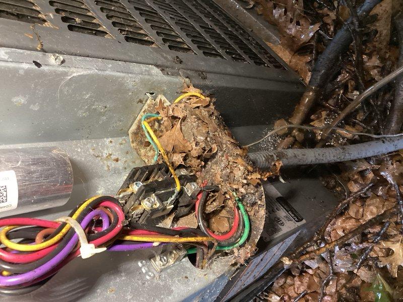 Responded to no-cooling complaint on 15-year-old air conditioning system. Found indoor blower operational but outdoor unit not running. Upon inspection of condenser unit, discovered rodent-damaged wiring with multiple compromised conductors. Electrical connections showed significant debris accumulation and environmental exposure. Repaired damaged wiring harness, replaced affected wire sections, and restored proper electrical connections to outdoor unit. Cycled system through complete operation, verified condenser startup and function. Checked refrigerant charge and confirmed system parameters within normal operating range. Unit restored to full cooling operation.