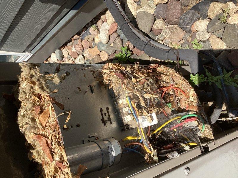 Responded to no cooling call on 15-year-old Carrier Infinity communicating air conditioning system. Found condenser unit non-operational with extensive rodent damage to wiring and control board, along with significant debris accumulation throughout the unit interior. Cleared rodent nesting material and organic debris from condenser cabinet. Repaired damaged wiring harness and verified 24V present at four-wire communication plug. Upon testing, system powered on briefly but immediately shut down with utility company energy saver switch displaying blinking green indicator light. Reset energy management device multiple times with same result, indicating failure of utility-owned load control equipment. Confirmed all customer-owned equipment wiring repairs successful and system capable of operation once utility device issue resolved. Recommended contacting utility company for service on malfunctioning energy saver switch to restore normal system operation.