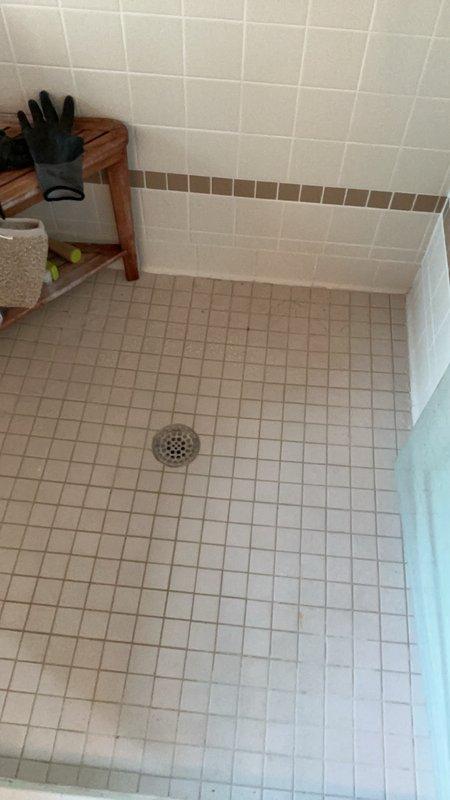 Responded to a slow-draining shower drain where the homeowner had unsuccessfully attempted to clear the blockage using a hair zipper tool. Upon inspection, identified a significant clog located approximately 5 feet down the drain line consisting of accumulated pet hair. Successfully cleared the obstruction using a drain auger, restoring proper drainage to the shower.