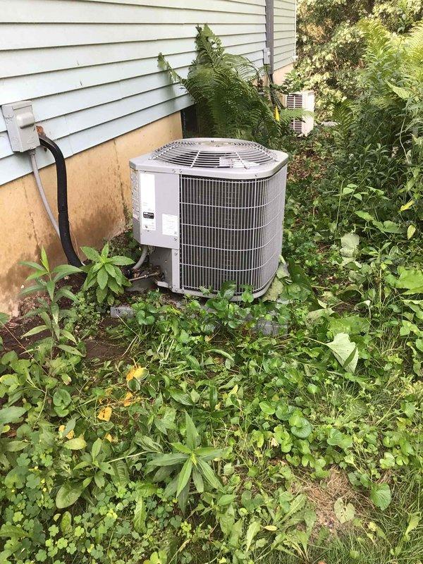 Completed comprehensive maintenance on central air conditioning system and mini split unit. Cleaned mini split filters, power washed both outdoor condenser units to remove debris and vegetation buildup, and performed complete electrical inspection with all readings confirmed within manufacturer specifications.