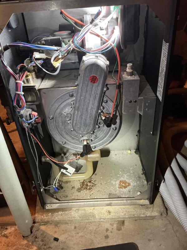 Replaced faulty igniter and flame sensor on residential boiler system. Disassembled heat exchanger assembly, performed thorough cleaning to remove accumulated debris and carbon buildup, then installed new igniter and flame sensor components. Reassembled unit, started system, and monitored through complete heating cycle to operating temperature, confirming improved combustion efficiency and cleaner burn pattern. Recommended biennial boiler cleaning maintenance schedule to maintain optimal performance and system longevity.