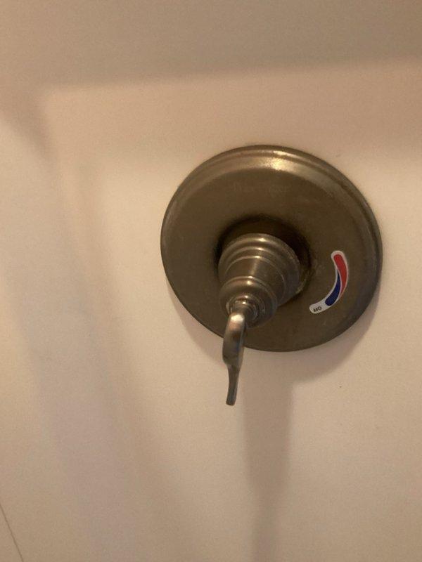 Responded to service call for leaky shower valve and two outdoor hose bibs requiring replacement. Assessed interior shower mixing valve with aged brass finish showing signs of wear and provided pricing for repair or replacement options. Inspected exterior water spigots, including weathered installation with corroded valve handle mounted on wooden structure in overgrown area, and provided estimate for complete replacement of both outdoor faucets with frost-free units.